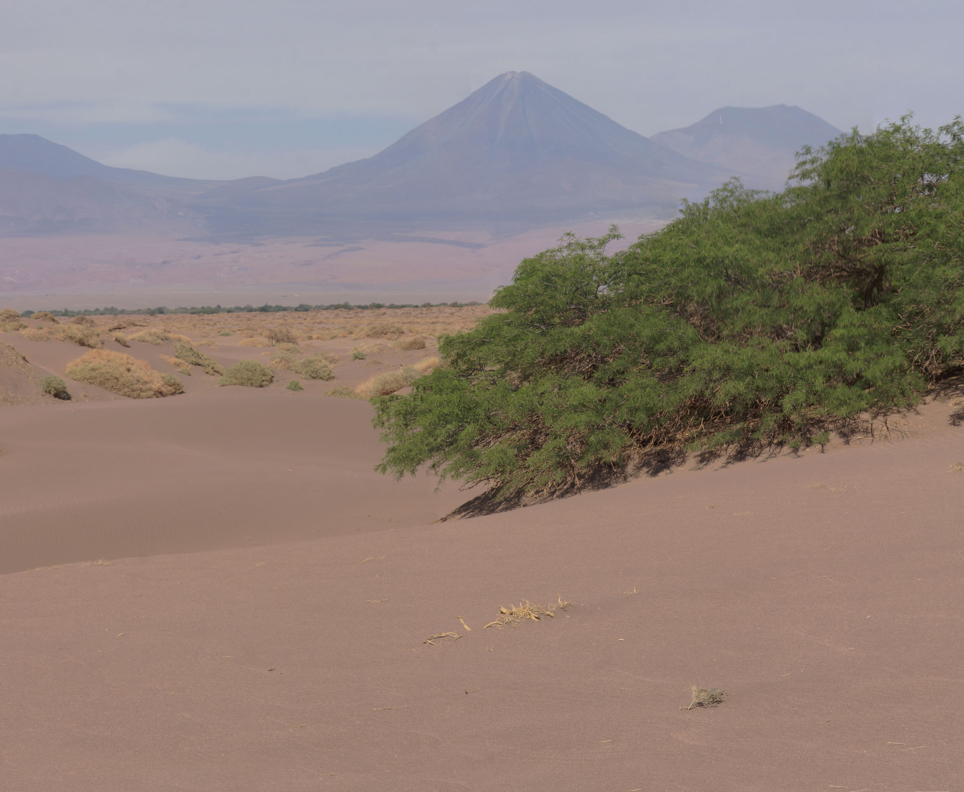 Altiplano-de-Chile